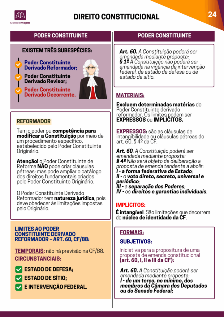 Amostra real do mapa mental ilustrado de Direito Constitucional