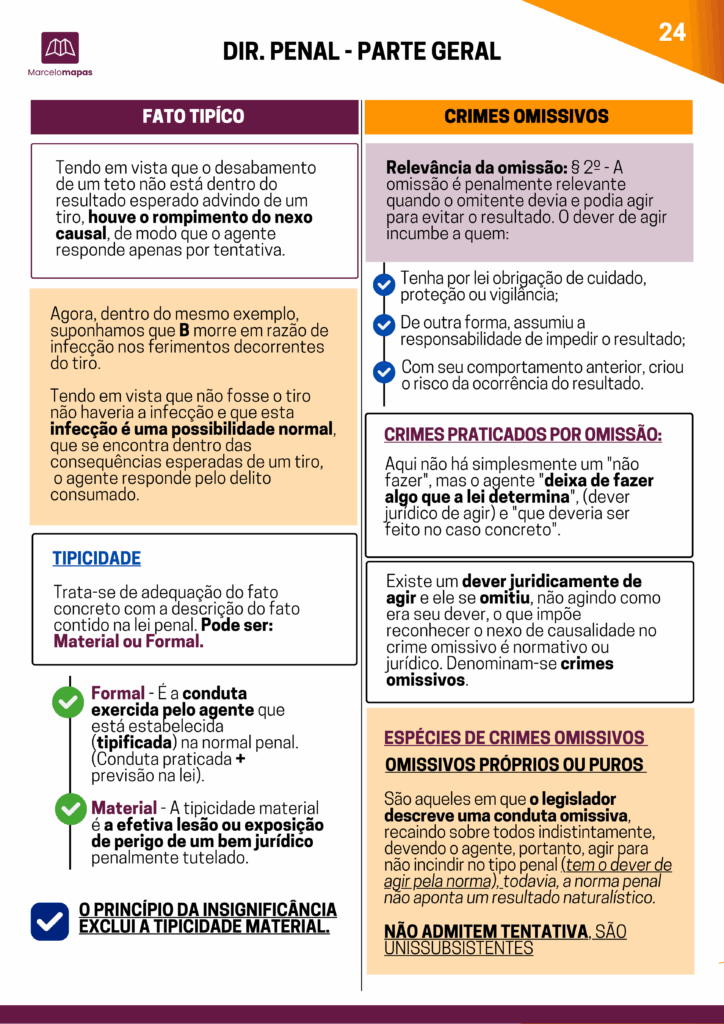Amostra real do mapa mental ilustrado de Direito Penal